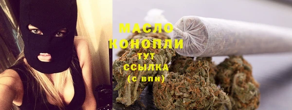 стаф Арсеньев