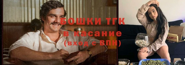 стаф Арсеньев