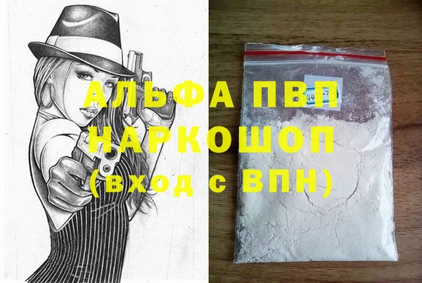 стаф Арсеньев