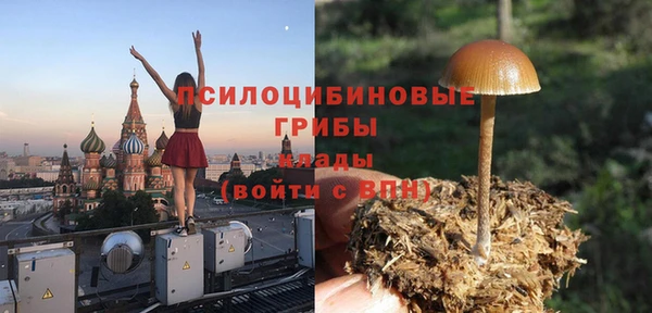 гидропоника Семёнов