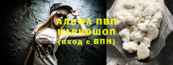 стаф Арсеньев